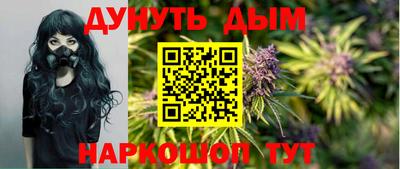 гидра Краснознаменск