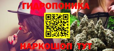 гидра Краснознаменск