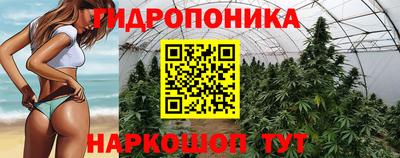 гидра Краснознаменск