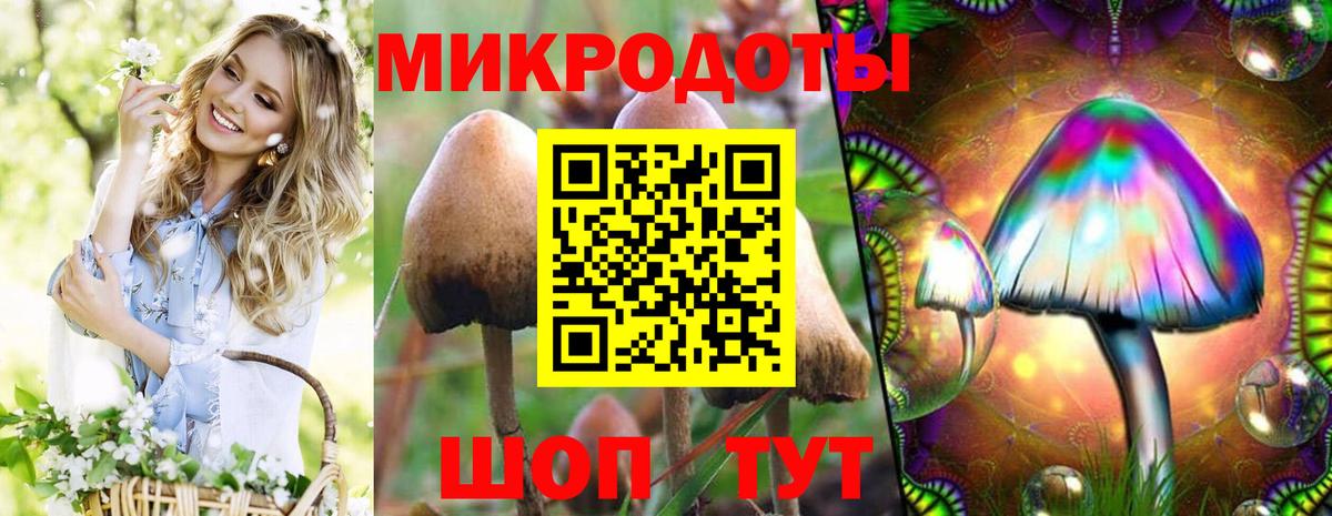Псилоцибиновые грибы Magic Shrooms  Вход с VPN  Кудрово 