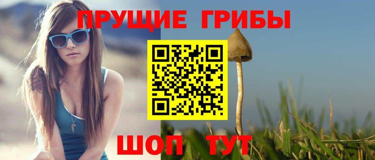 Псилоцибиновые грибы мицелий Кудрово
